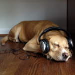 Listening to music