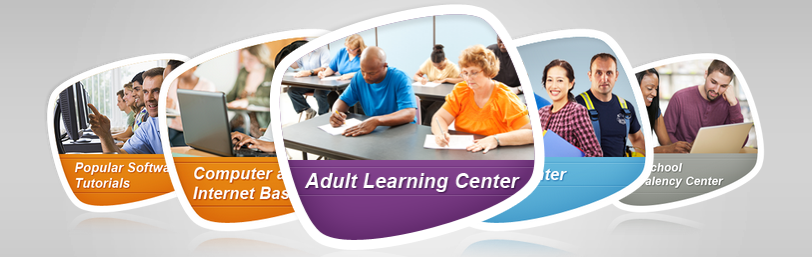 Learning Express Library