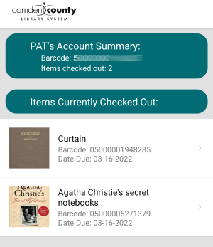 Account Summary in App